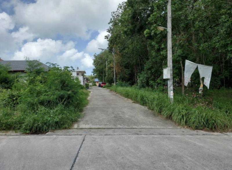 New plot for sale in Rawai