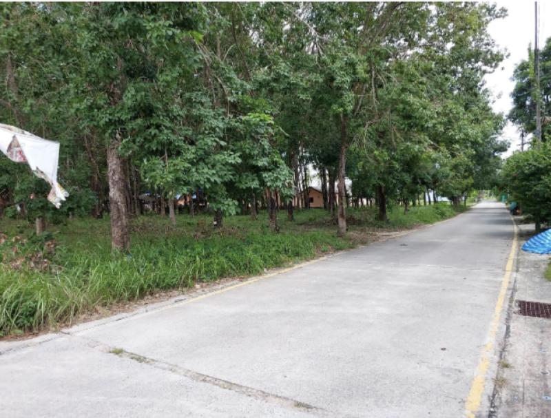 New plot for sale in Rawai