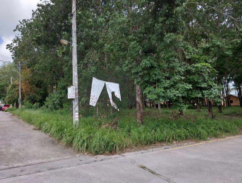 New plot for sale in Rawai